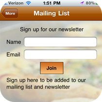 email list manager